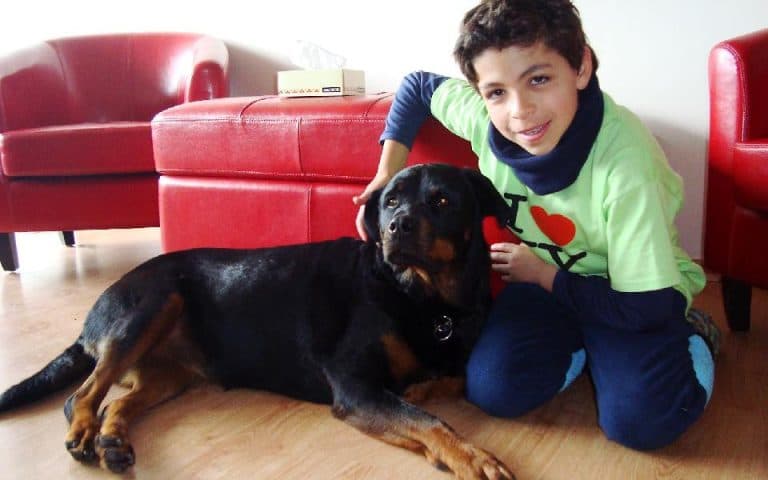 Chile, reuniones de estudiantes y se prepara para recibir a Isha Annie Queremos compartir que tuvimos un meeting hermoso con los chicos que hicieron 6 meses de todos los tiempos, donde se notaba la pr
