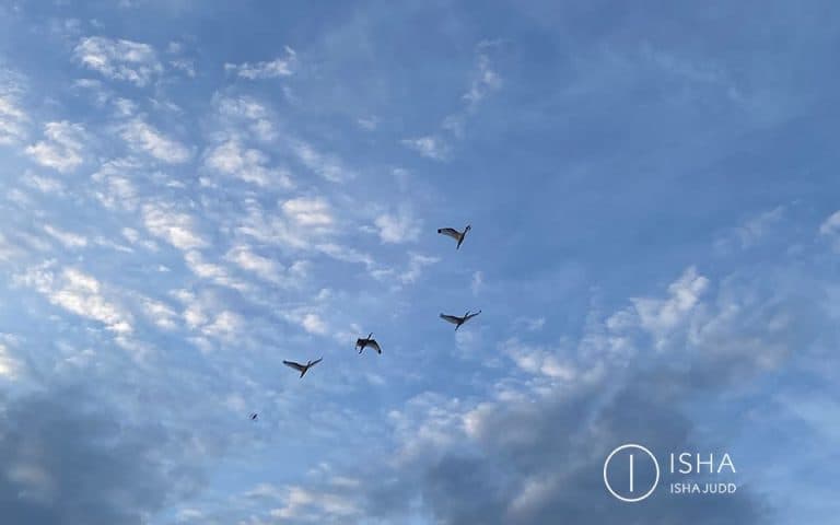 Si vivimos en la superficie, nuestra paz será intermitente. Ve más profundo, sumérgete en el fondo de tu ser.