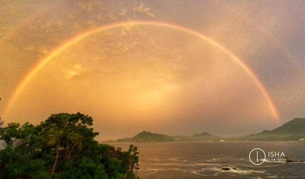 Nuestra percepción de la realidad está tan distorsionada, que solo percibimos una pequeña fracción de la vida.