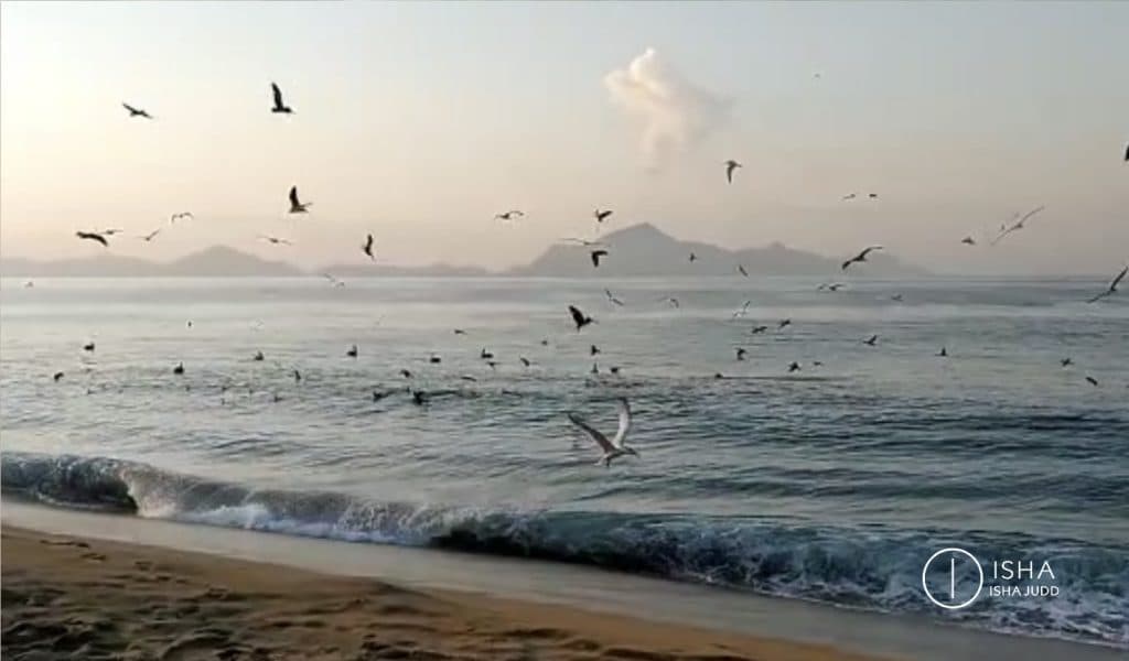 Buscas la libertad en el éxito y la aprobación, pero está adentro. Tú eres amor y siempre lo serás: nada de lo que crees haber perdido era real.