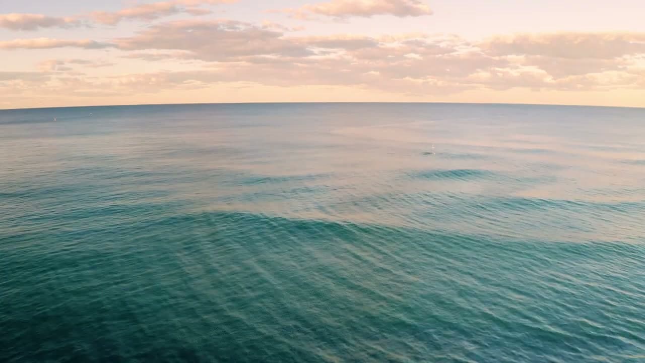 O luto não volta porque você está retrocedendo. Volta porque o que vocês compartilhavam estava em muitos lugares ao mesmo tempo, e cada um avisa por conta própria.