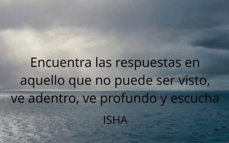 Frase del día
