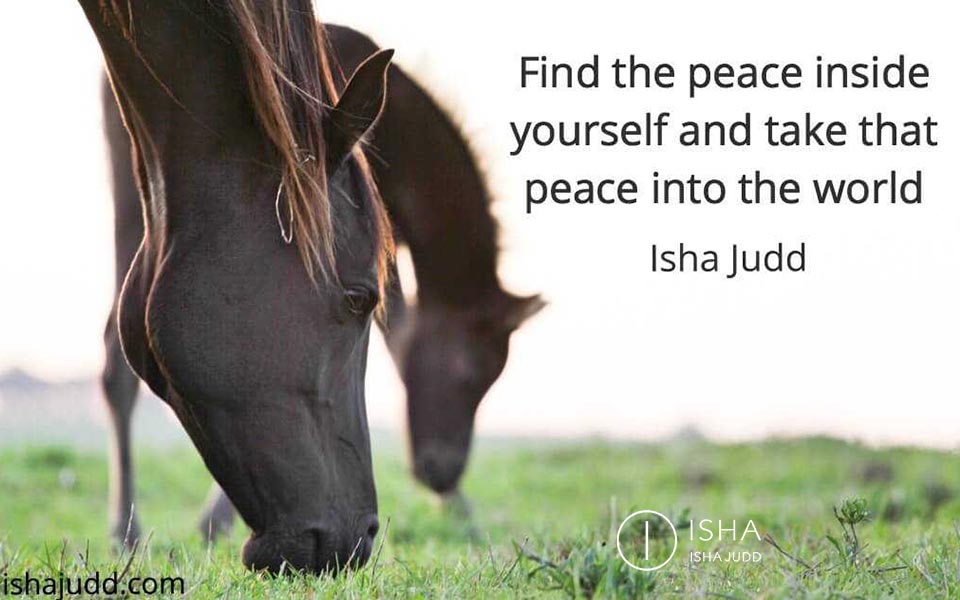 We all want peace