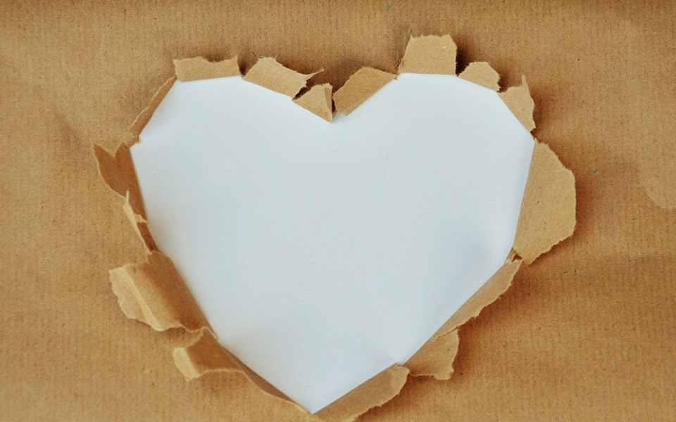 The head or the heart
