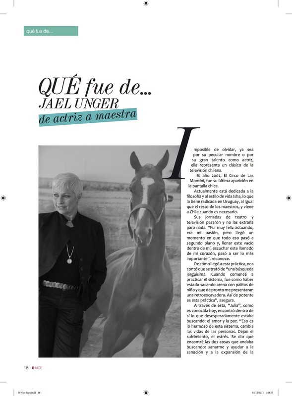 Revista B-NICE, Chile